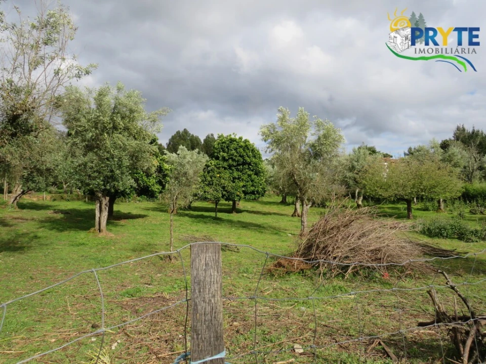 Terreno para Venda em Cabeçudo Foto 4