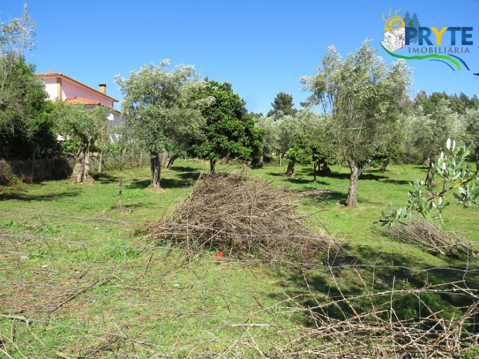 Terreno para Venda em Cabeçudo Foto 7