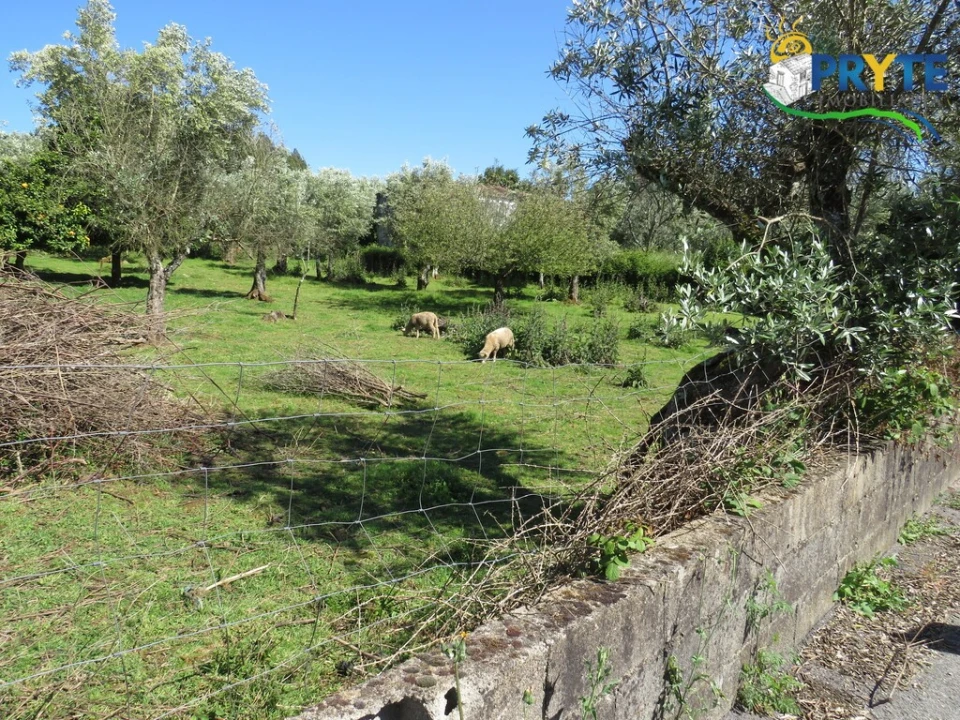 Terreno para Venda em Cabeçudo Foto 8