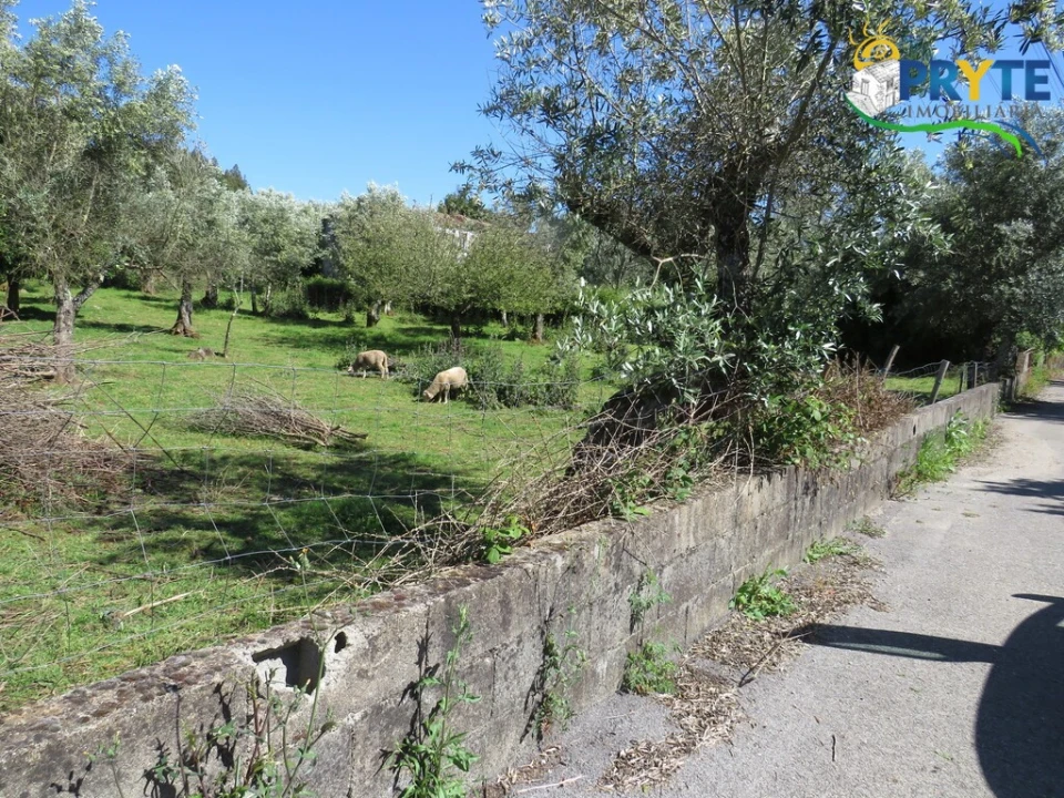 Terreno para Venda em Cabeçudo Foto 10