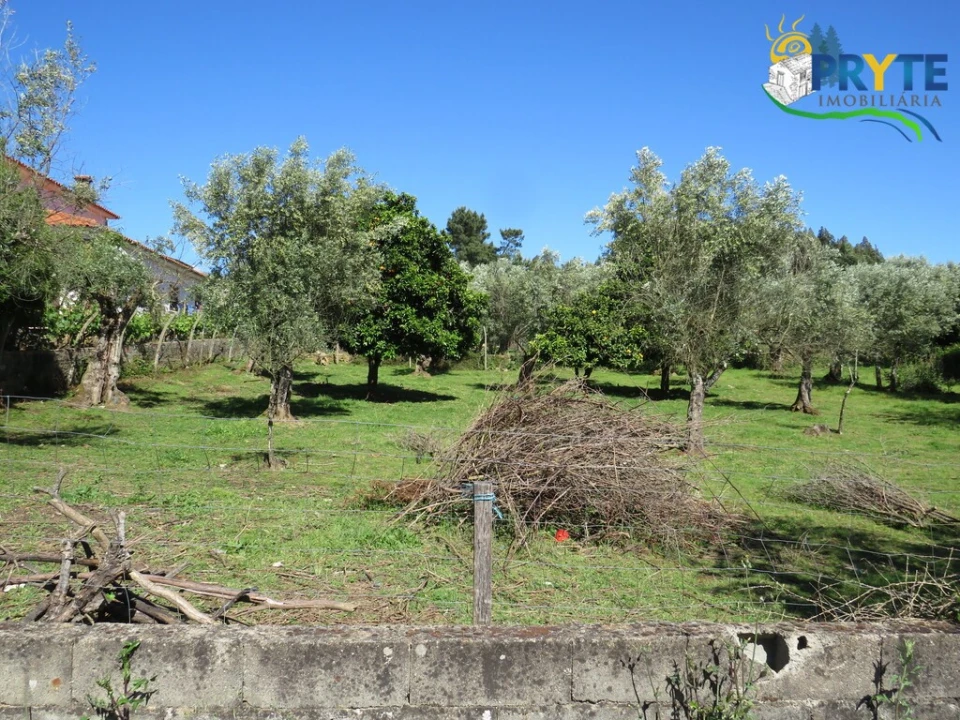 Terreno para Venda em Cabeçudo Foto 12