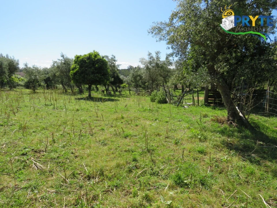 Terreno para Venda em Cabeçudo Foto 22
