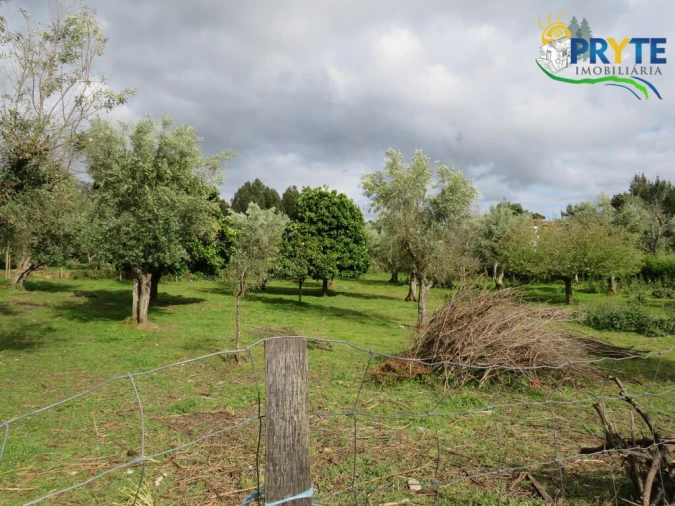 Terreno para Venda em Cabeçudo Foto 4
