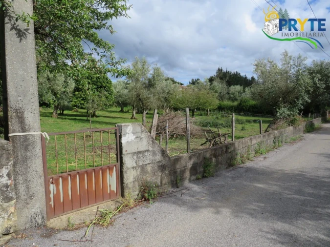 Terreno para Venda em Cabeçudo Foto 6