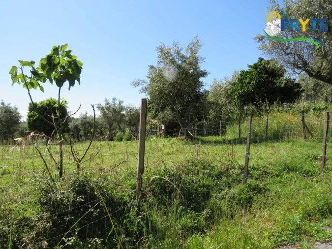 Terreno para Venda em Cabeçudo Foto 14