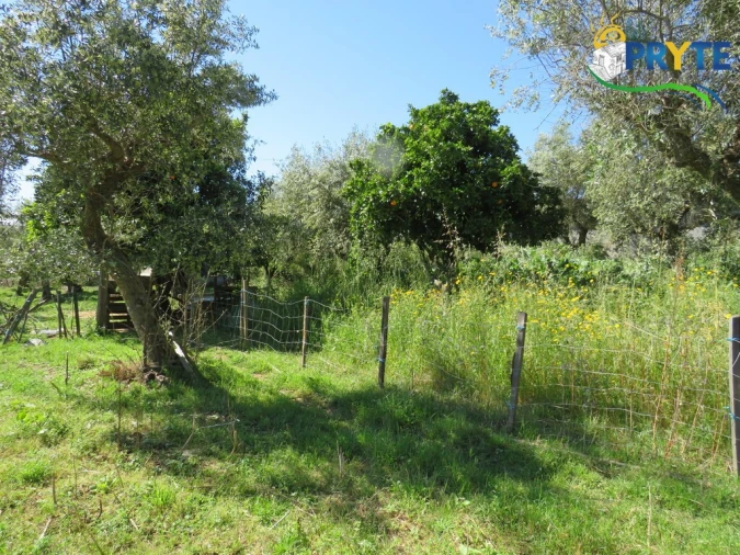Terreno para Venda em Cabeçudo Foto 23