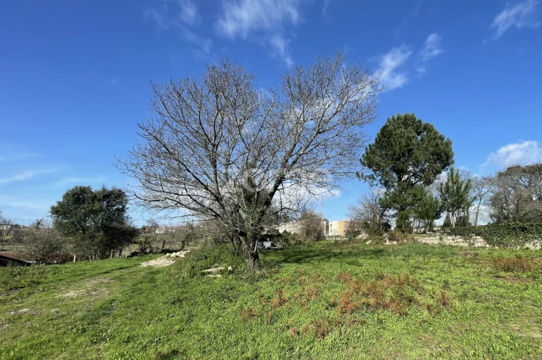 Moradia T3 para Venda em Nogueira e Silva Escura Foto 15