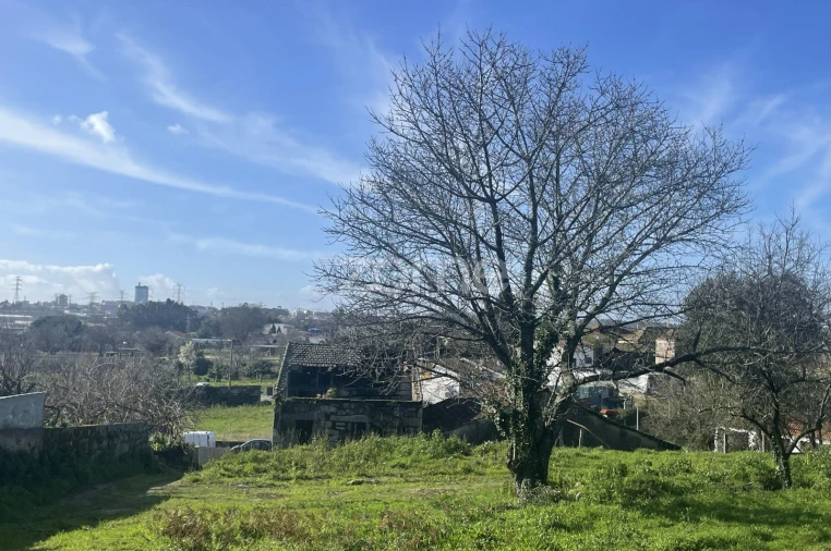 Moradia T3 para Venda em Nogueira e Silva Escura Foto 17