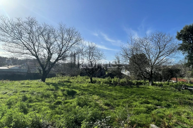 Moradia T3 para Venda em Nogueira e Silva Escura Foto 18