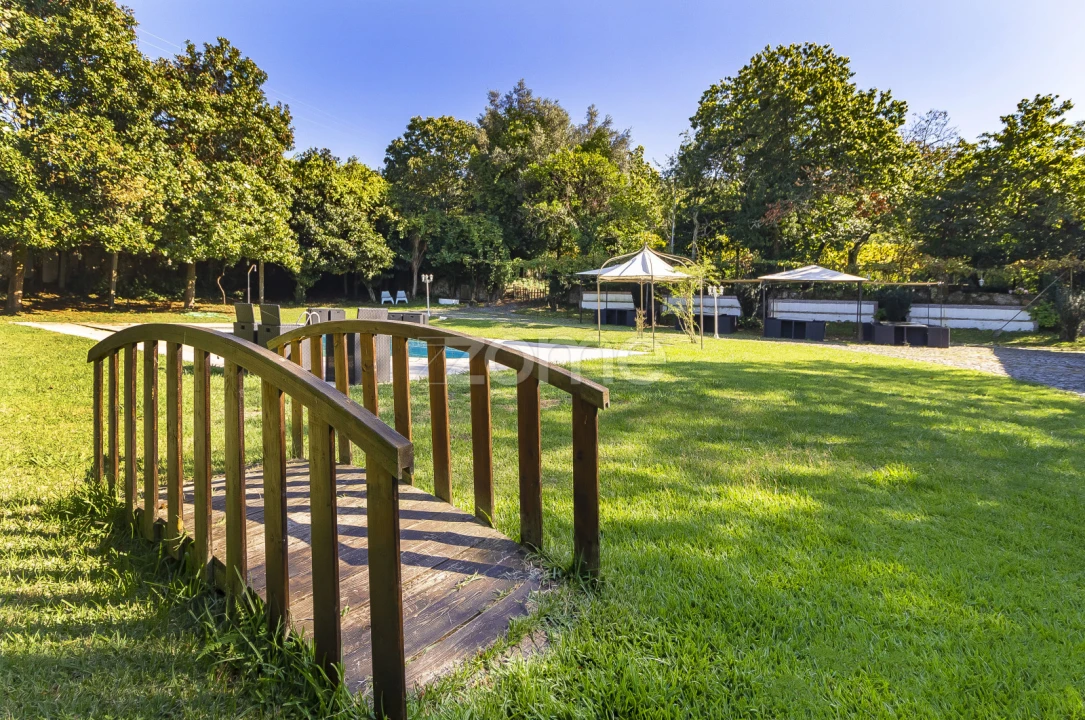 Negócio para Trespasse em Este (São Pedro e São Mamede) Foto 30