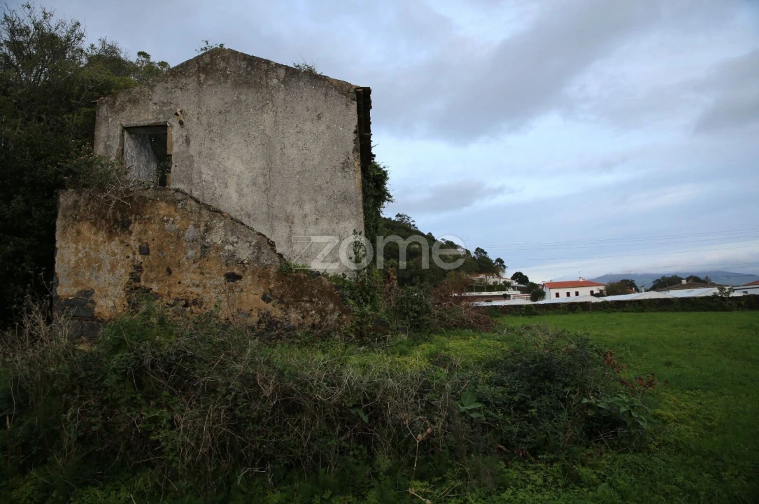 Terreno para Venda em Fajã de Baixo Foto 13
