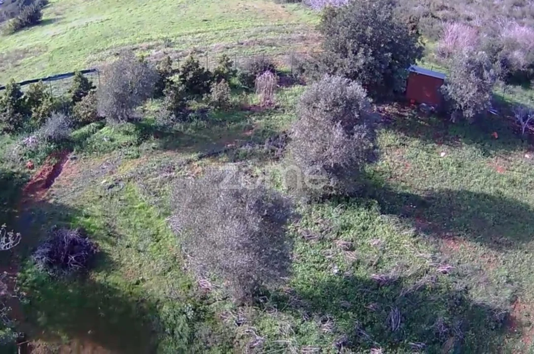 Terreno para Venda em Silves Foto 6