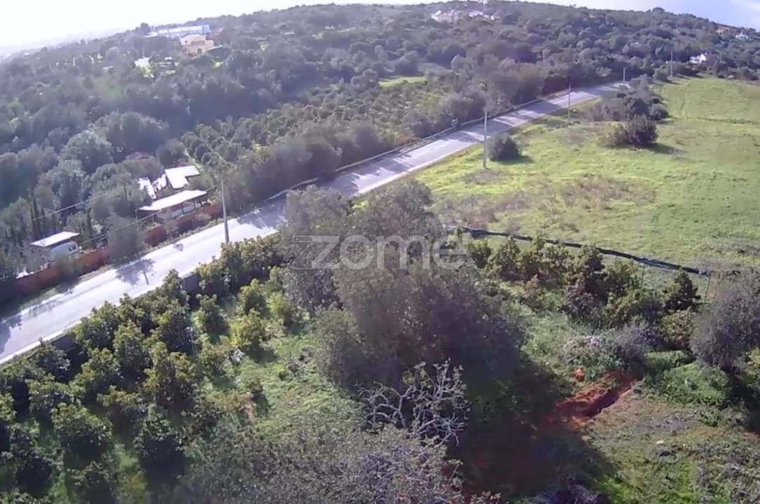 Terreno para Venda em Silves Foto 1