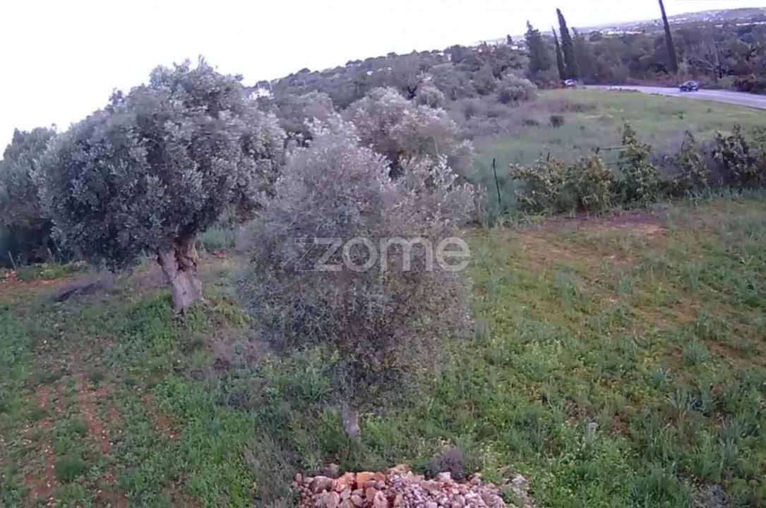 Terreno para Venda em Silves Foto 8