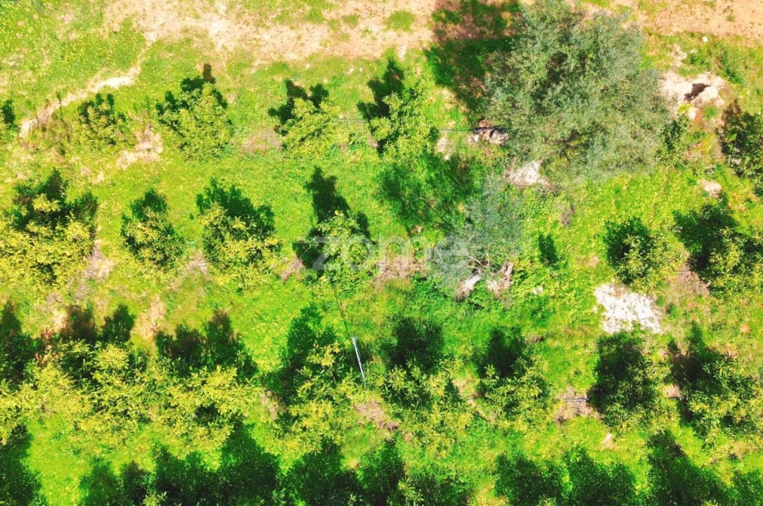 Terreno para Venda em Silves Foto 11
