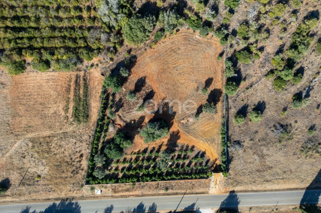 Terreno para Venda em Silves Foto 31