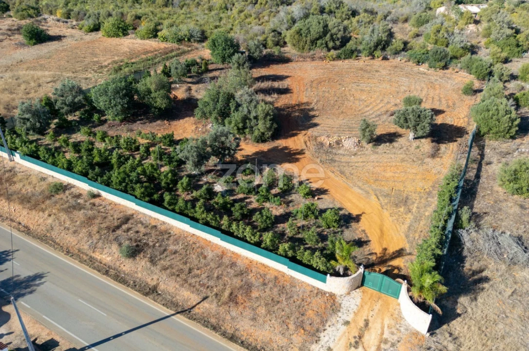 Terreno para Venda em Silves Foto 32