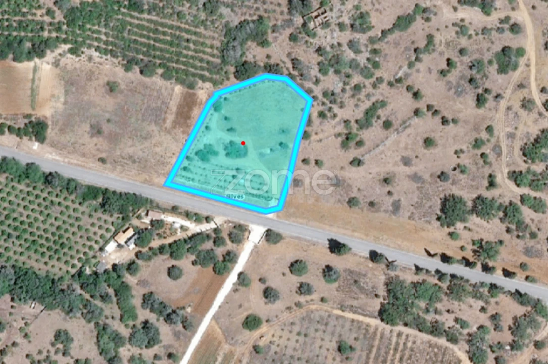 Terreno para Venda em Silves Foto 29