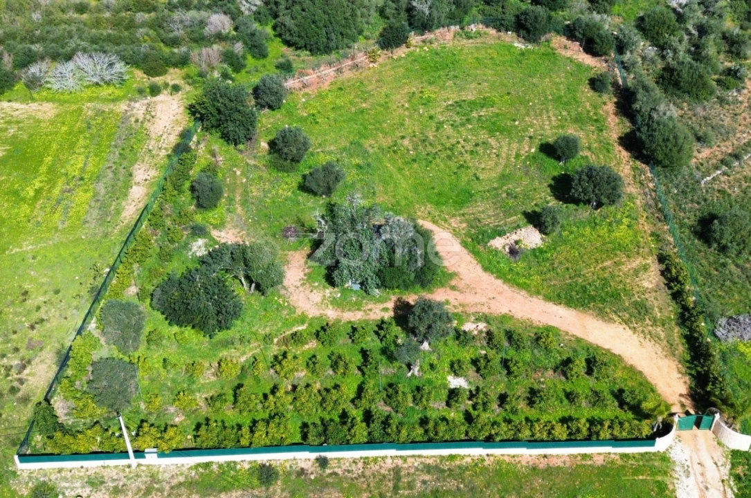 Terreno para Venda em Silves Foto 2