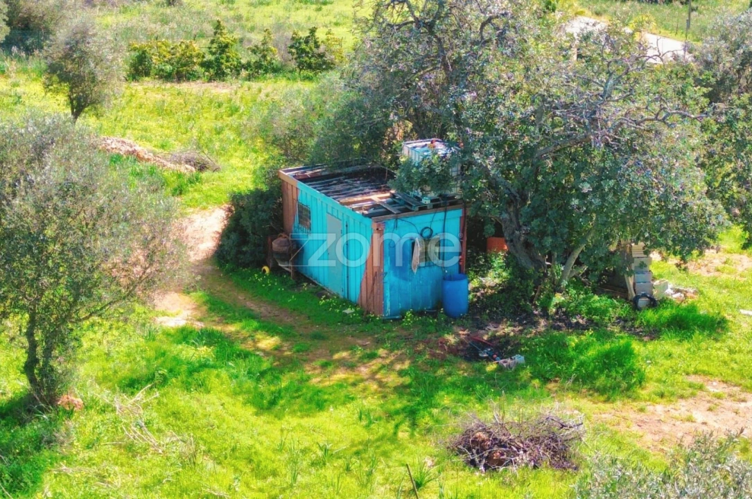 Terreno para Venda em Silves Foto 10