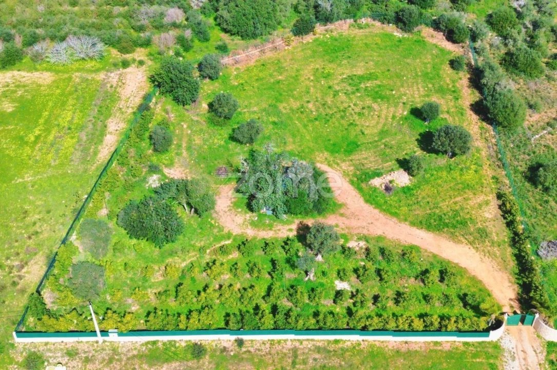 Terreno para Venda em Silves Foto 8