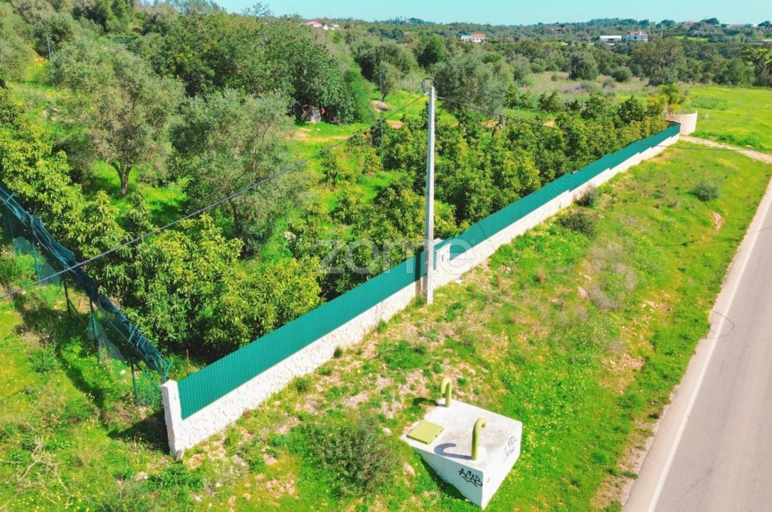 Terreno para Venda em Silves Foto 1
