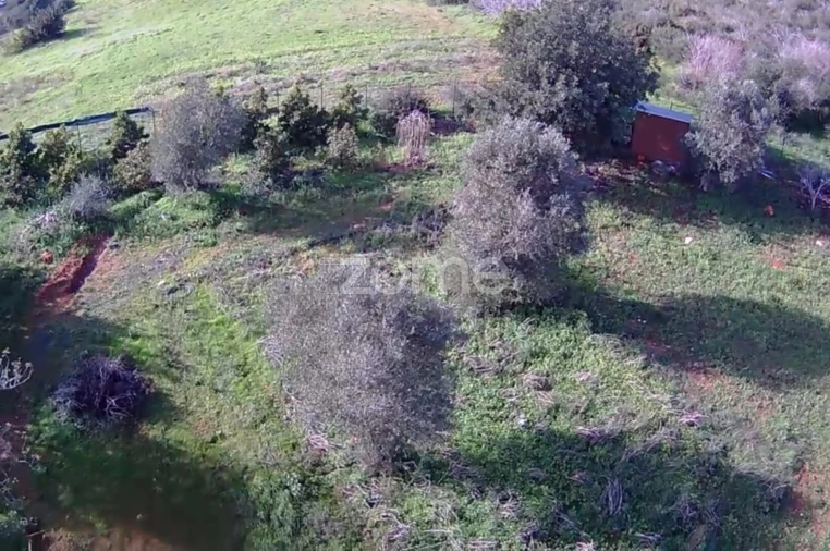 Terreno para Venda em Silves Foto 6