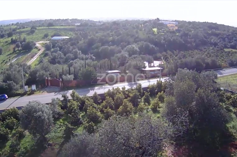 Terreno para Venda em Silves Foto 7