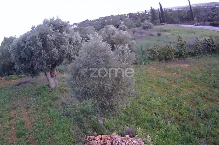 Terreno para Venda em Silves Foto 8