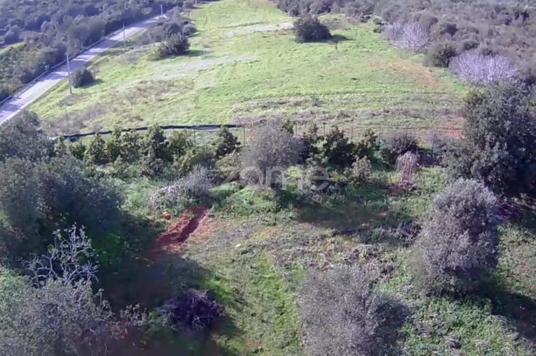 Terreno para Venda em Silves Foto 4