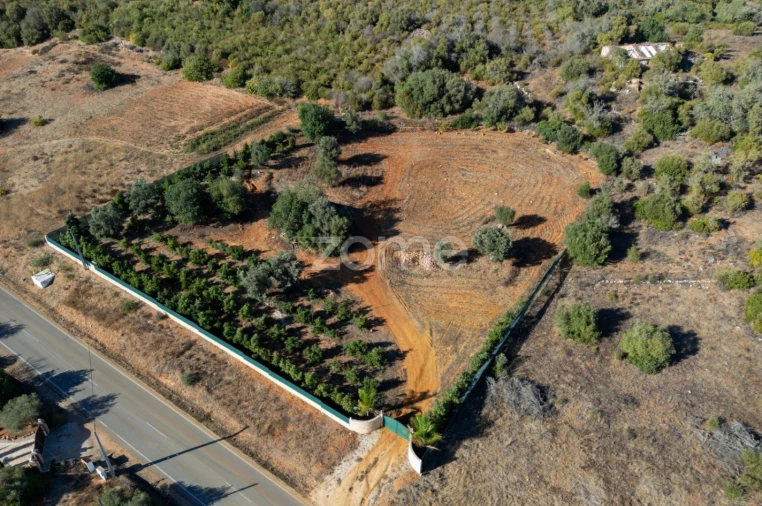 Terreno para Venda em Silves Foto 27
