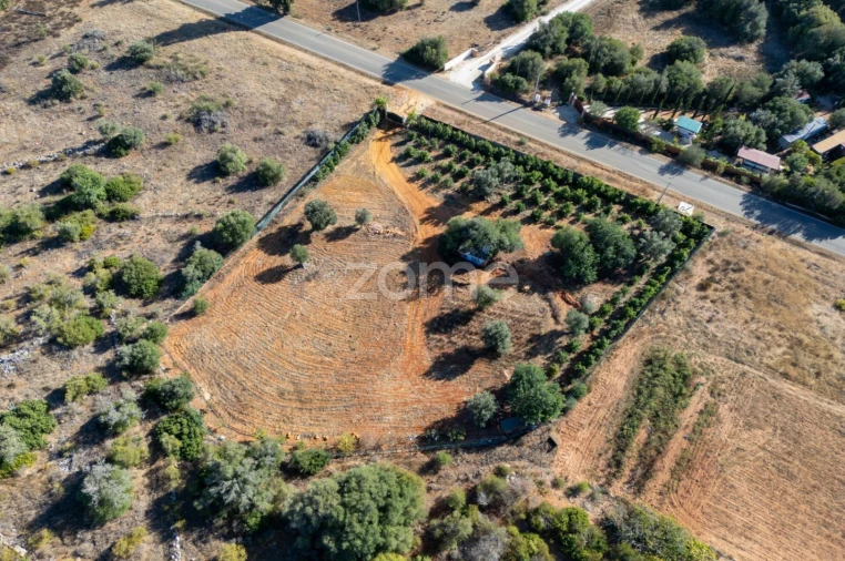 Terreno para Venda em Silves Foto 3