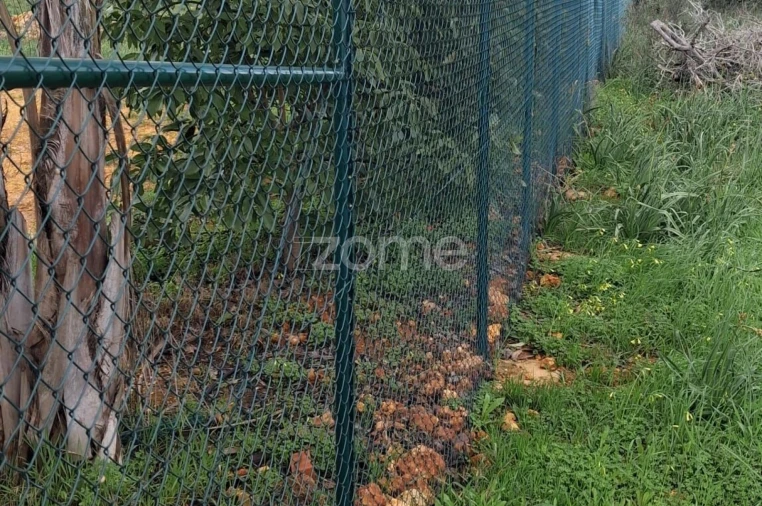 Terreno para Venda em Silves Foto 12