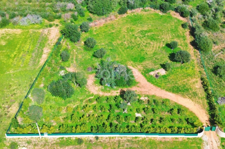 Terreno para Venda em Silves Foto 8