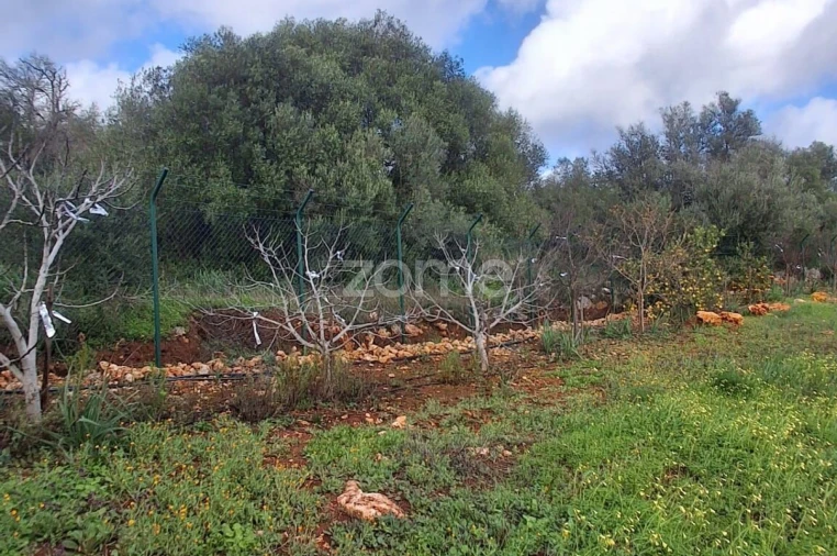 Terreno para Venda em Silves Foto 15