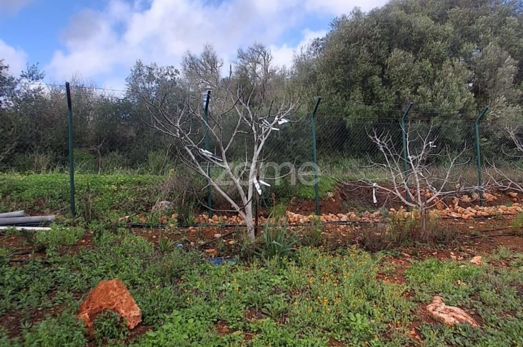 Terreno para Venda em Silves Foto 22