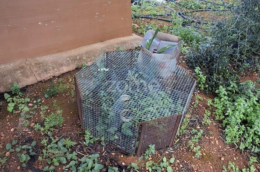 Terreno para Venda em Silves Foto 19