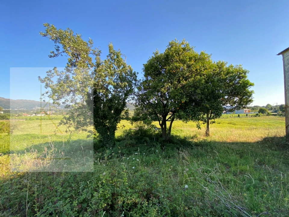 Quinta T4 para Venda em Fontão Foto 13