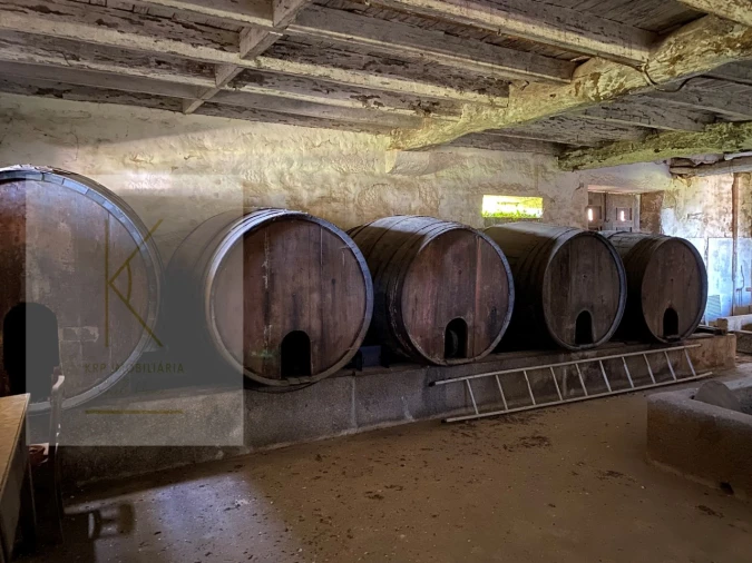 Quinta T4 para Venda em Fontão Foto 8