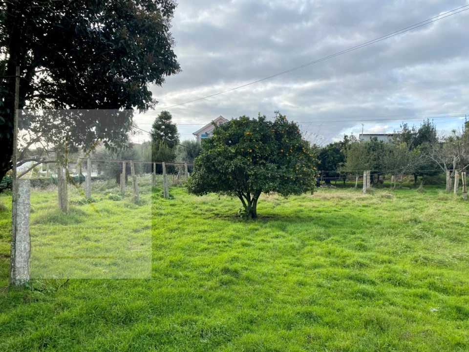 Quinta para Venda em Fontão Foto 20