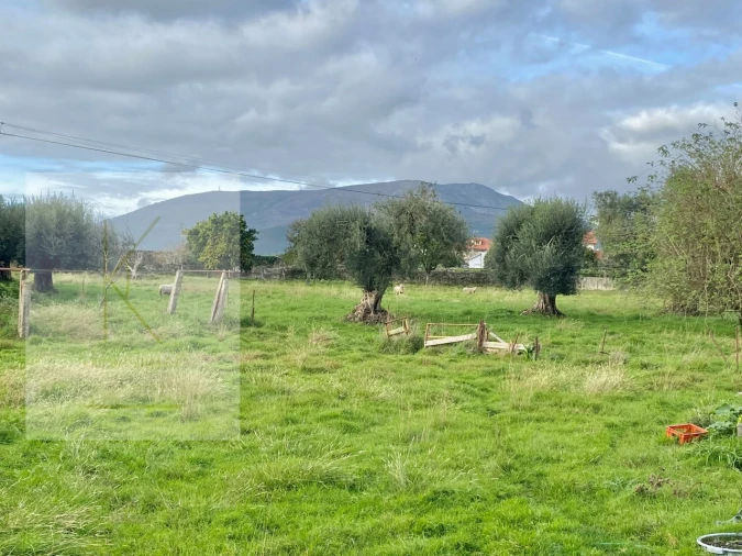 Quinta para Venda em Fontão Foto 2