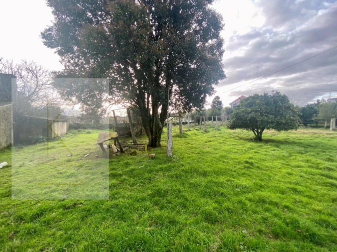 Quinta para Venda em Fontão Foto 21