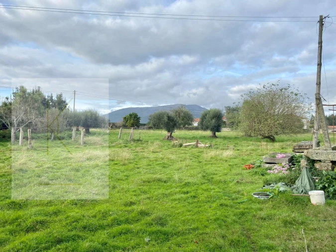 Quinta para Venda em Fontão Foto 22