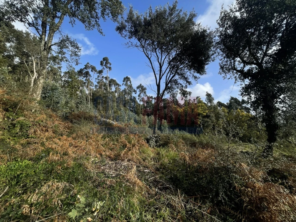 Terreno para Venda em Viatodos, Grimancelos, Minhotães, Monte Fralães Foto 2