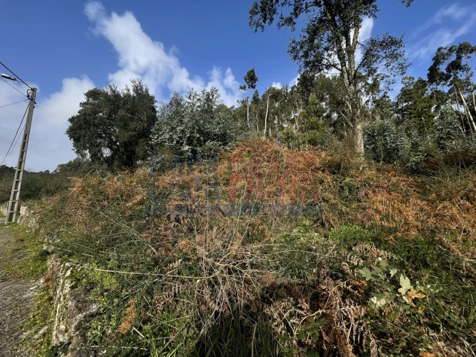 Terreno para Venda em Viatodos, Grimancelos, Minhotães, Monte Fralães Foto 5