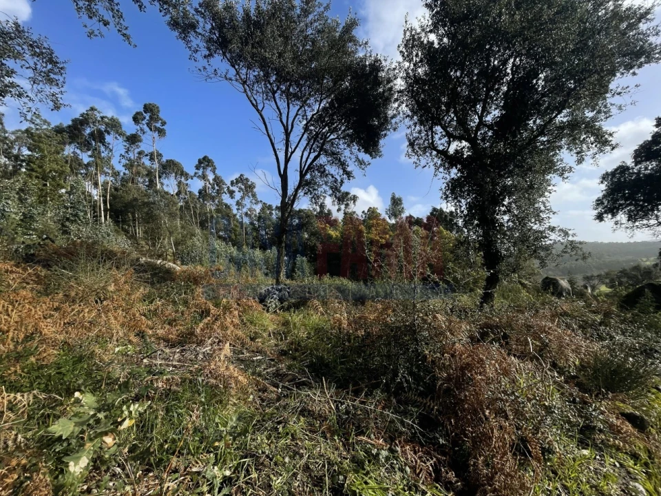 Terreno para Venda em Viatodos, Grimancelos, Minhotães, Monte Fralães Foto 6
