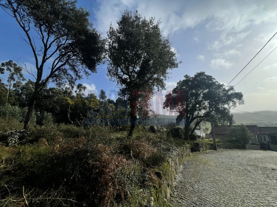 Terreno para Venda em Viatodos, Grimancelos, Minhotães, Monte Fralães Foto 7