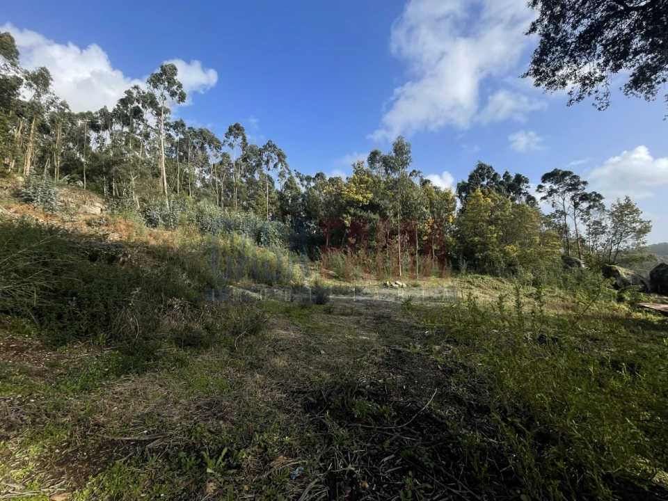 Terreno para Venda em Viatodos, Grimancelos, Minhotães, Monte Fralães Foto 8