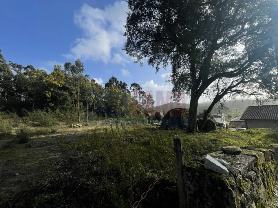 Terreno para Venda em Viatodos, Grimancelos, Minhotães, Monte Fralães Foto 9