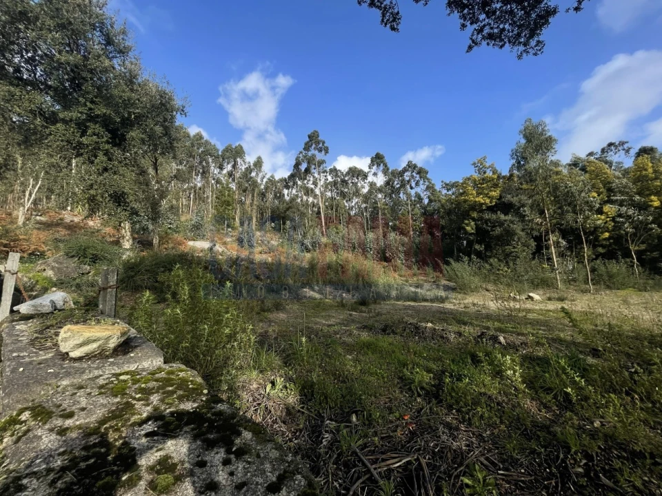 Terreno para Venda em Viatodos, Grimancelos, Minhotães, Monte Fralães Foto 17